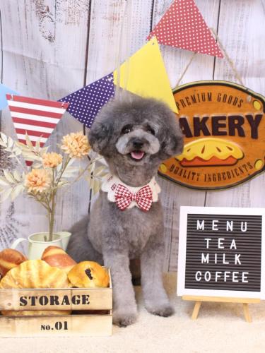 20240923るいくん